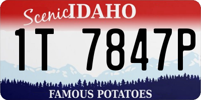 ID license plate 1T7847P