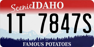 ID license plate 1T7847S