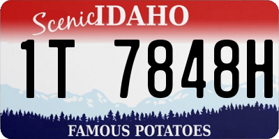 ID license plate 1T7848H