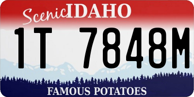 ID license plate 1T7848M