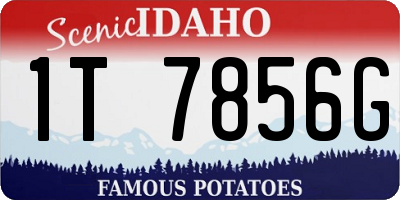 ID license plate 1T7856G