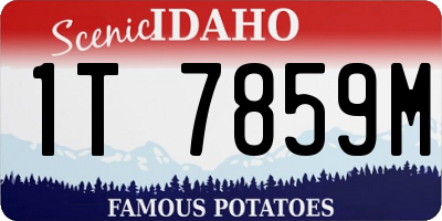 ID license plate 1T7859M