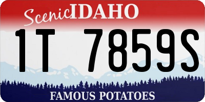 ID license plate 1T7859S
