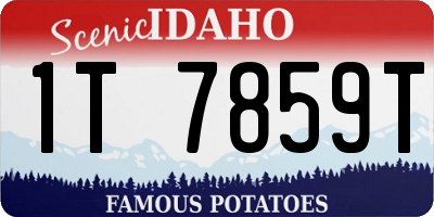 ID license plate 1T7859T