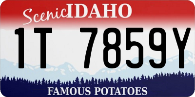 ID license plate 1T7859Y