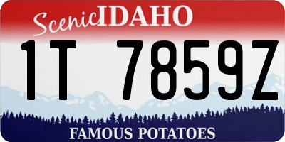 ID license plate 1T7859Z