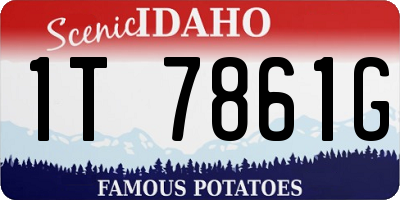 ID license plate 1T7861G