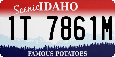 ID license plate 1T7861M