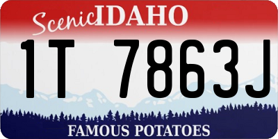 ID license plate 1T7863J