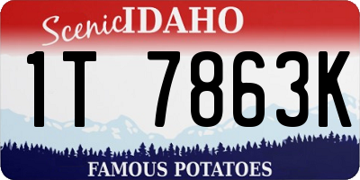 ID license plate 1T7863K