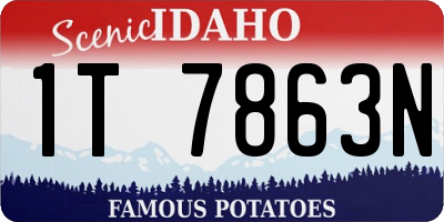ID license plate 1T7863N
