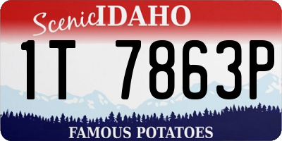 ID license plate 1T7863P