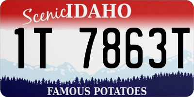 ID license plate 1T7863T