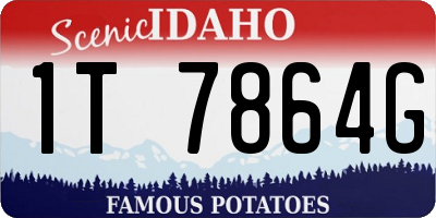 ID license plate 1T7864G