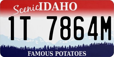 ID license plate 1T7864M