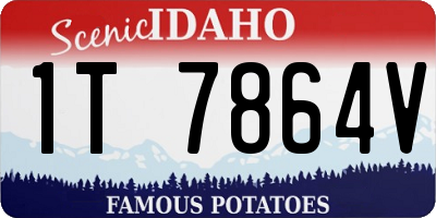 ID license plate 1T7864V