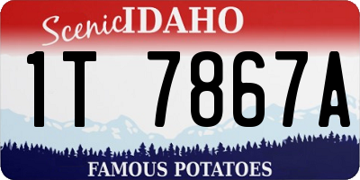 ID license plate 1T7867A