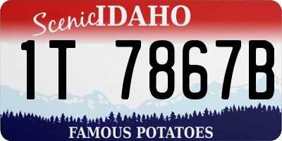 ID license plate 1T7867B