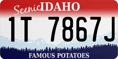 ID license plate 1T7867J