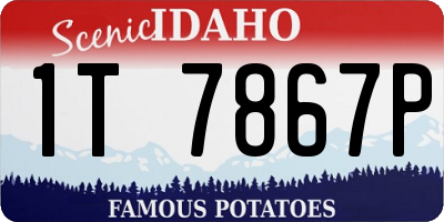 ID license plate 1T7867P
