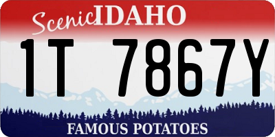 ID license plate 1T7867Y