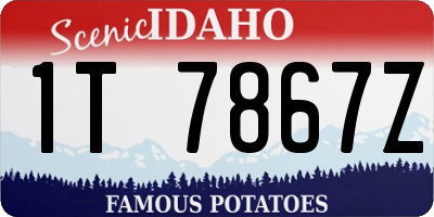 ID license plate 1T7867Z