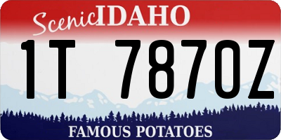 ID license plate 1T7870Z