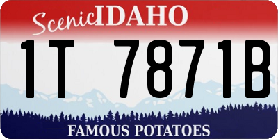 ID license plate 1T7871B