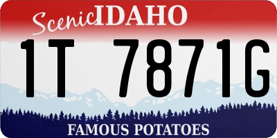 ID license plate 1T7871G