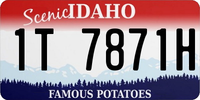 ID license plate 1T7871H