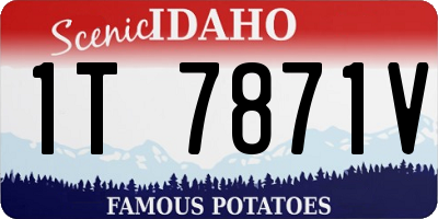 ID license plate 1T7871V