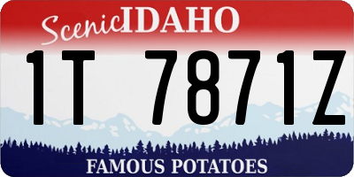 ID license plate 1T7871Z