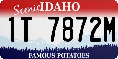 ID license plate 1T7872M