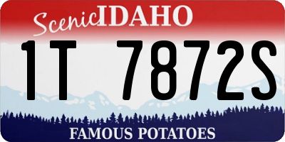 ID license plate 1T7872S