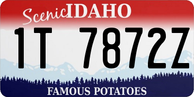 ID license plate 1T7872Z