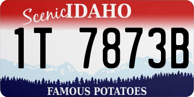 ID license plate 1T7873B