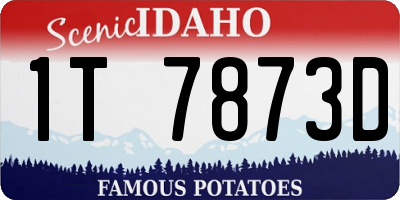ID license plate 1T7873D
