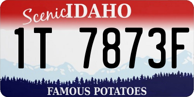 ID license plate 1T7873F