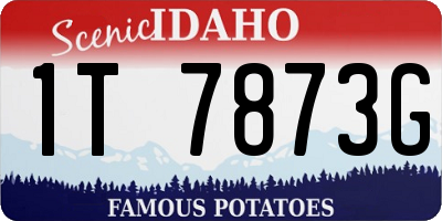 ID license plate 1T7873G