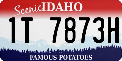 ID license plate 1T7873H