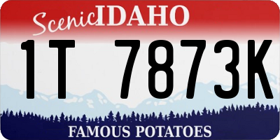 ID license plate 1T7873K
