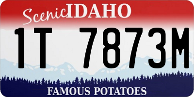 ID license plate 1T7873M