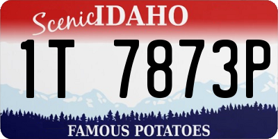 ID license plate 1T7873P