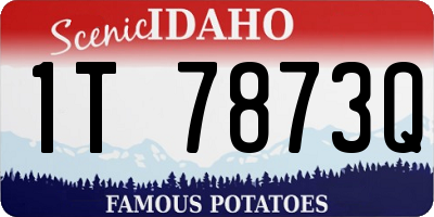 ID license plate 1T7873Q