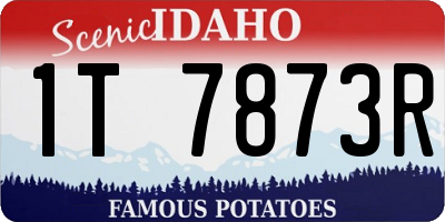 ID license plate 1T7873R