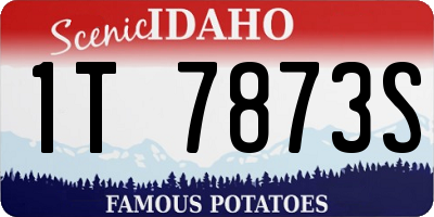 ID license plate 1T7873S