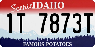 ID license plate 1T7873T