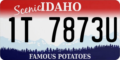 ID license plate 1T7873U