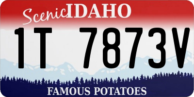ID license plate 1T7873V