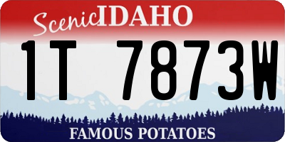 ID license plate 1T7873W